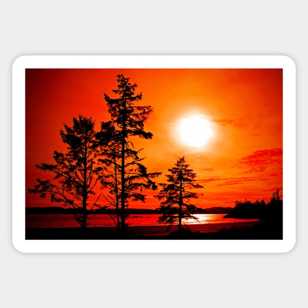 Sunset Long Beach Tofino Vancouver Island Canada Sticker by AndyEvansPhotos